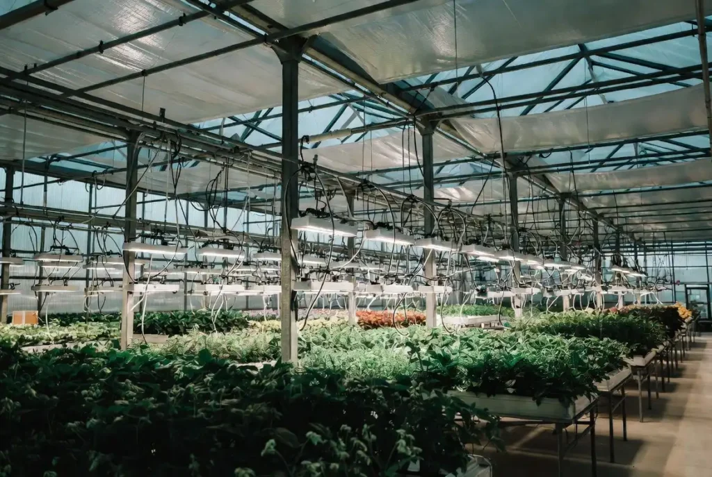Modern agricultural processing business using commercial solar energy to improve supply chain sustainability and ESG reporting.